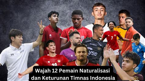 daftar pemain naturalisasi timnas indonesia
